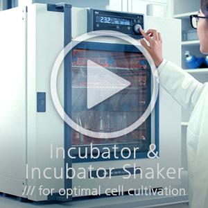 IKA Incubator / Inkubatoren