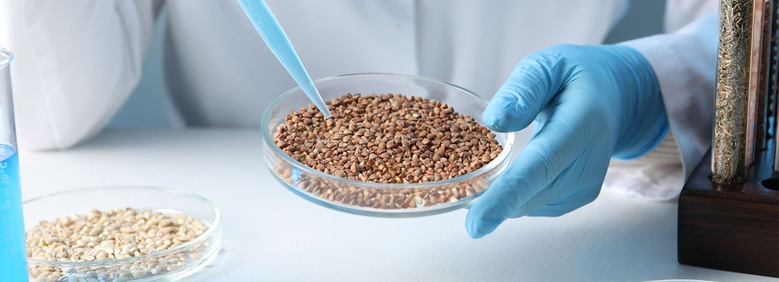 Advancements in Genetic Seed Analysis