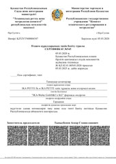 Tumbnail PDF GOST IKA PETTE Kazakhstan
