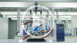 EasySyn Reactor system